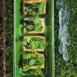 Chřestové koláčky z listového těsta