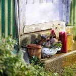 Smoothie z červené řepy