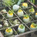 Plněná vejce s lanýžovým olejem