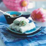 Vietnamské letní závitky