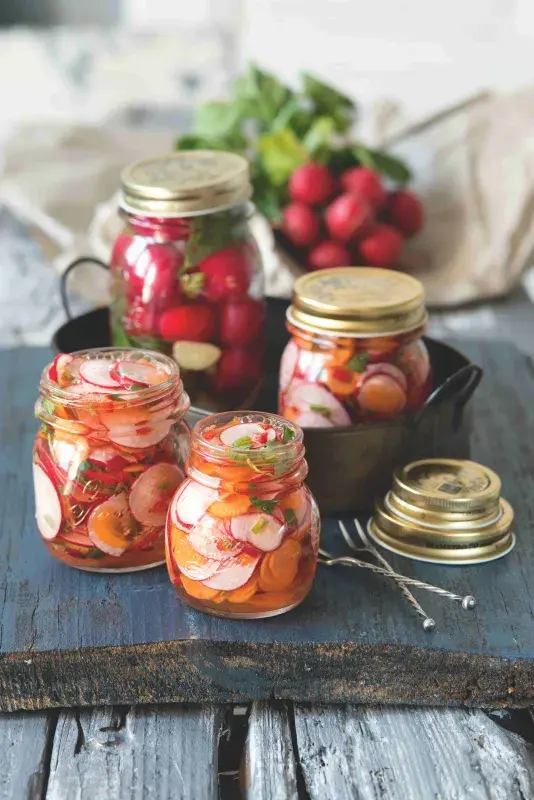 Nakládané ředkvičky narychlo