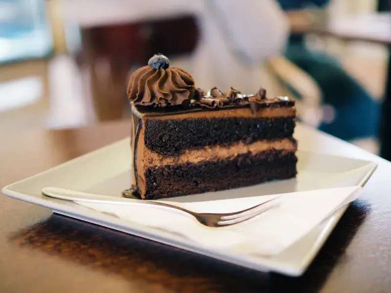 Poctivý čokoládový zákusek v zámecké kavárně (Rychnov n.K.)