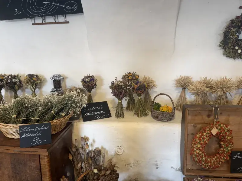 20251008_dýňová_farma_Bykoš_1.webp