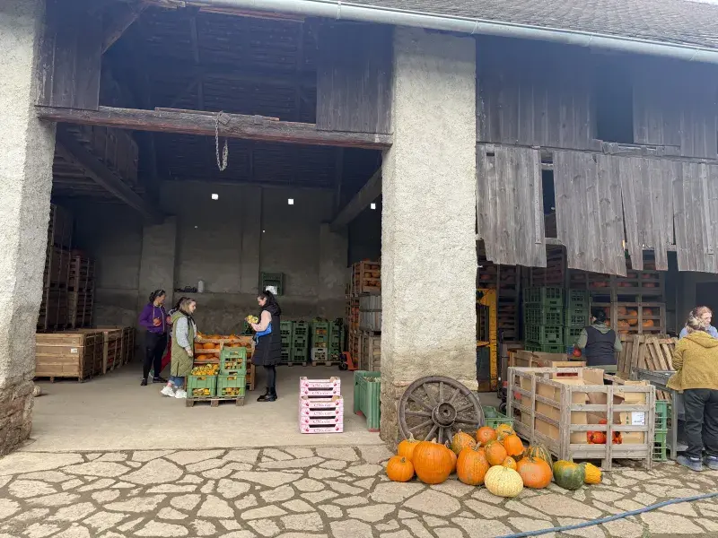 20251008_dýňová_farma_Bykoš_13.webp