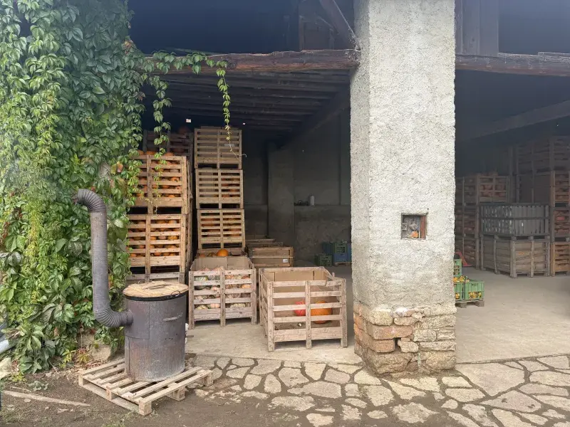 20251008_dýňová_farma_Bykoš_6.webp