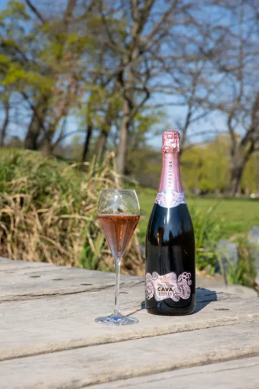 Šumivá vína z M&S