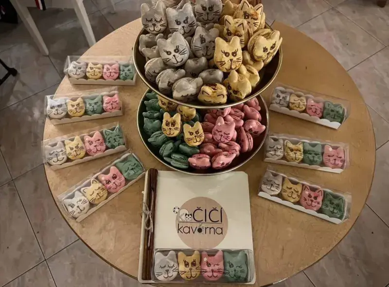 Kočičí makronky
