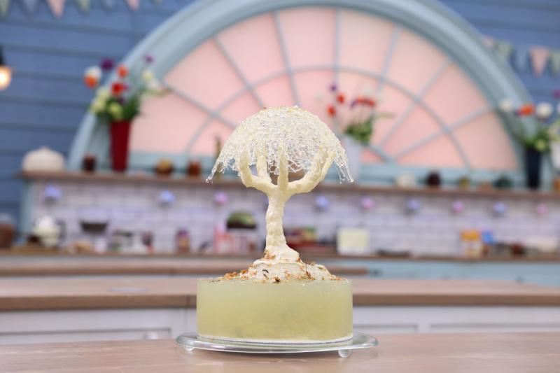 Dort Útes „piña colada“, Vojtěch Vrtiška