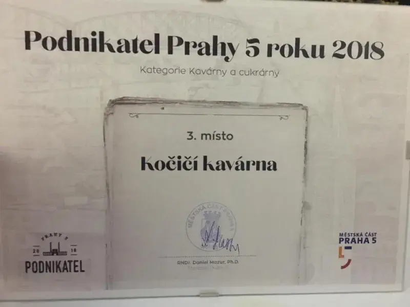 Kočičí kavárna na Smíchově