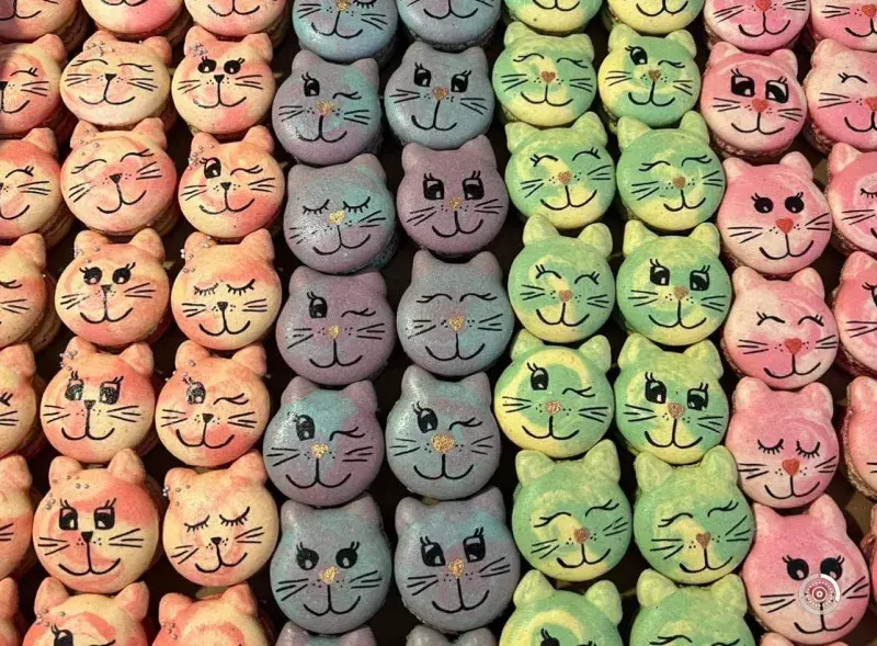 Kočičí makronky