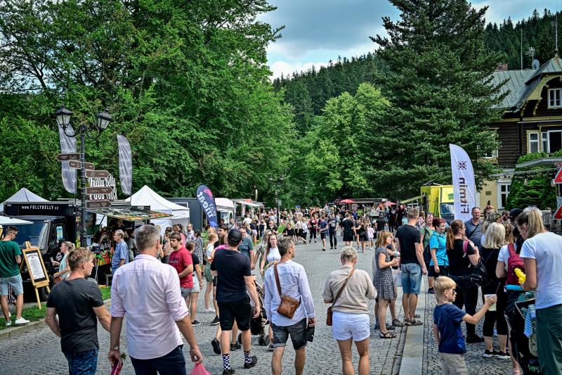 Pojez fest