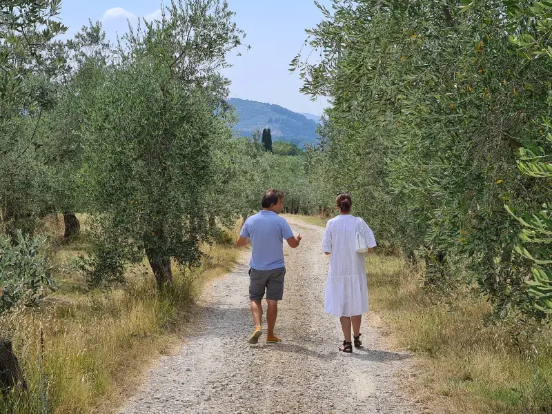 Úroda oliv je nižší