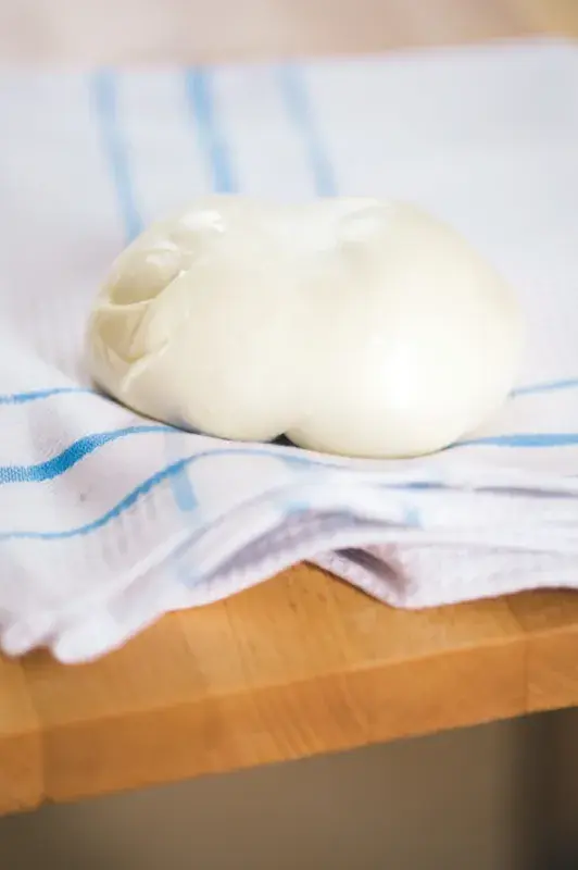 Domácí mozzarella