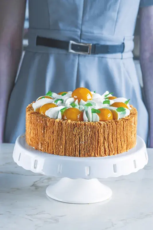 Dort Apricot Heleny Fléglové