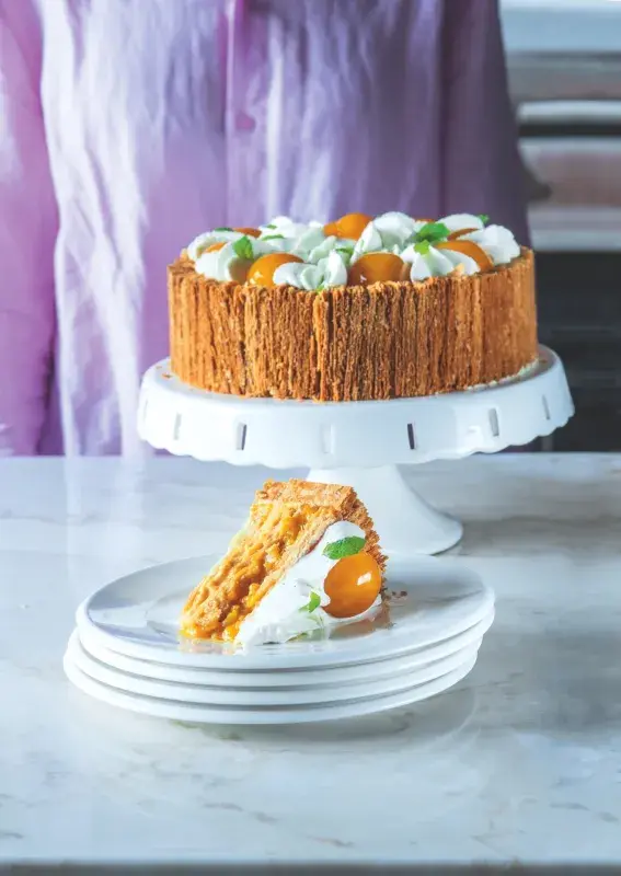 Dort Apricot Heleny Fléglové