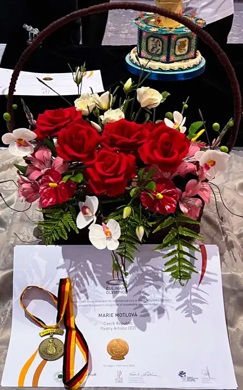 Soutěžní dílo Marie Motlové