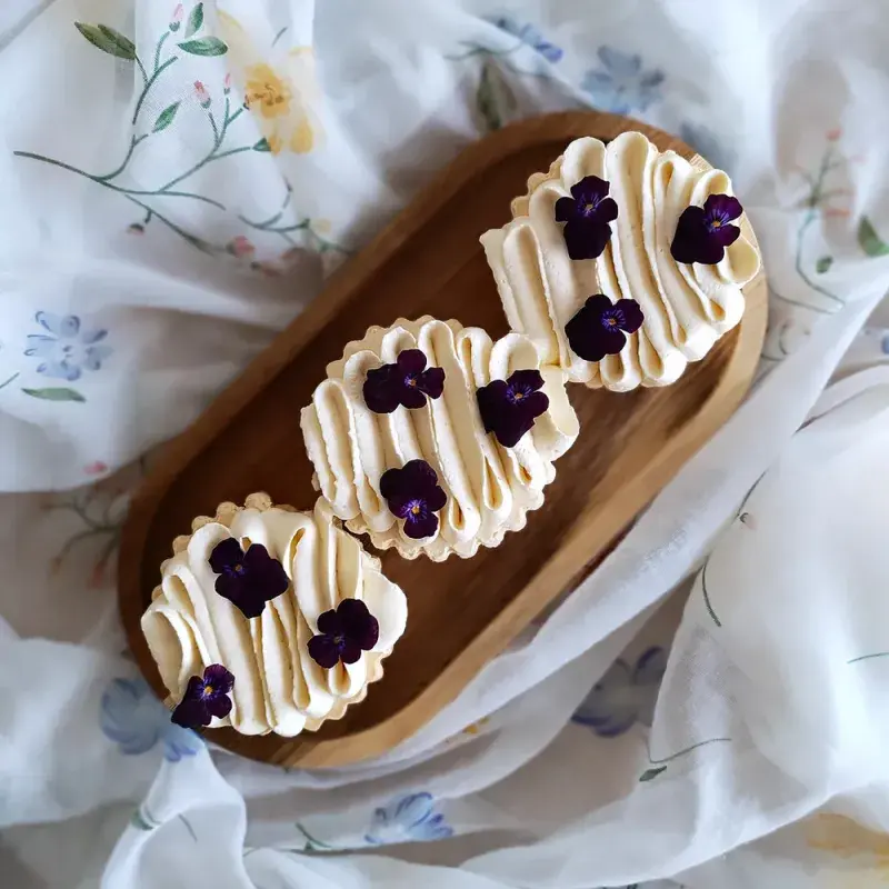 Rakvičky podle Hedviky Lippiello