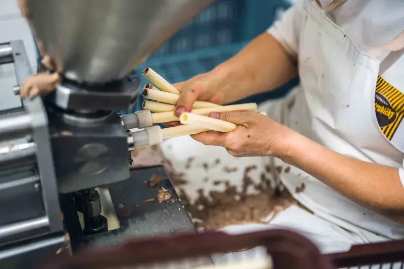 Petráčkovy Hořické trubičky