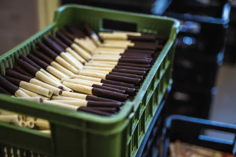 Petráčkovy Hořické trubičky