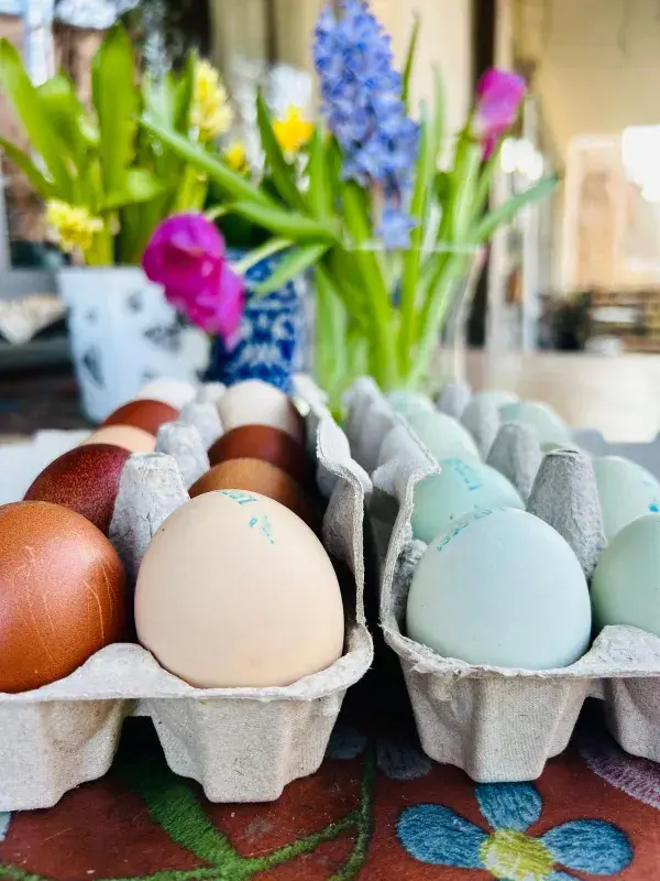 Na trzích už to kvete