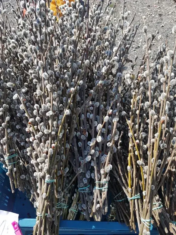 Jaro je tu, čas vyrazit na trhy!