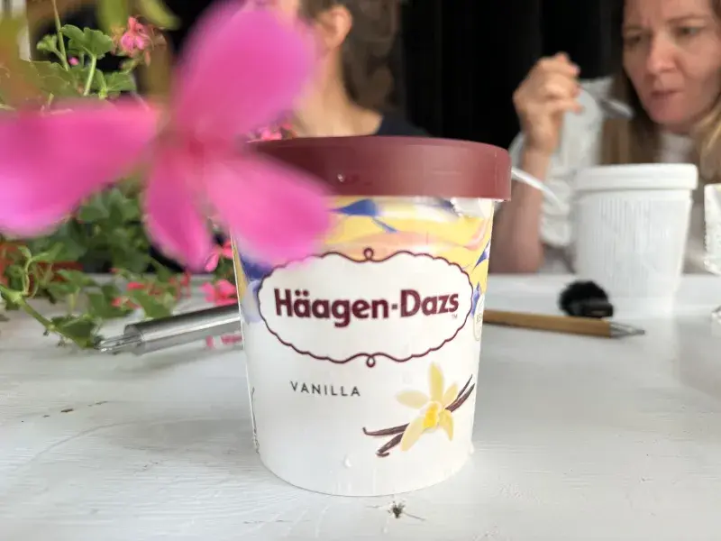 Zmrzlina Häagen-Dazs