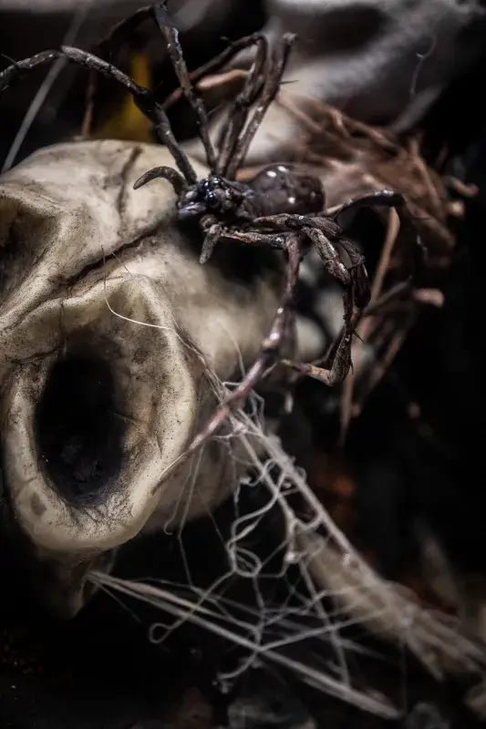 Fantazii se meze nekladou