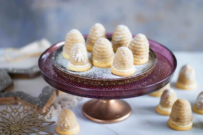 Vosí hnízda podle Josefa Maršálka