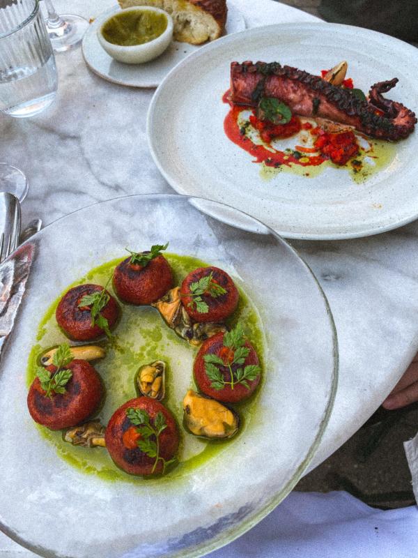 Gnocchi plněné ndujou a grilovaná chobotnice v restauraci Barabba