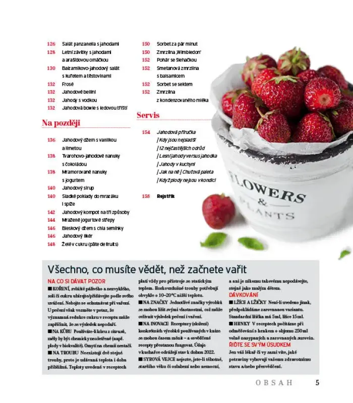 Kuchařka Jahody – obsah