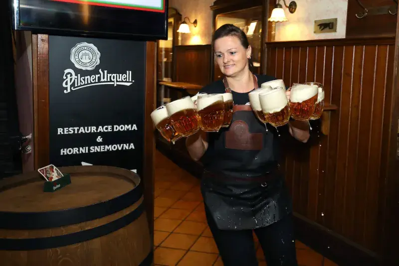 Pinkasova noční můra