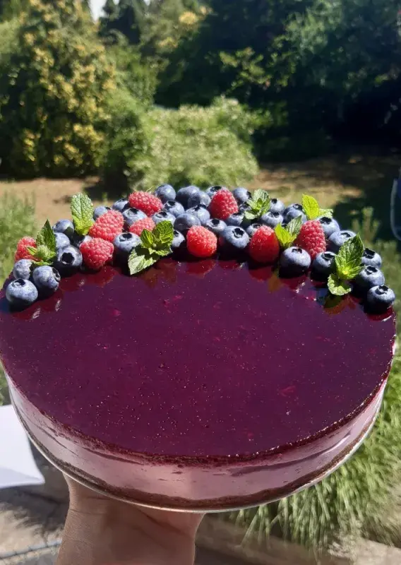 Želé dort podle Jitky Burianové