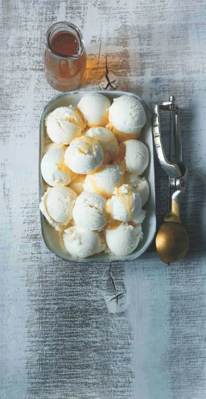 Jogurtová zmrzlina s medem