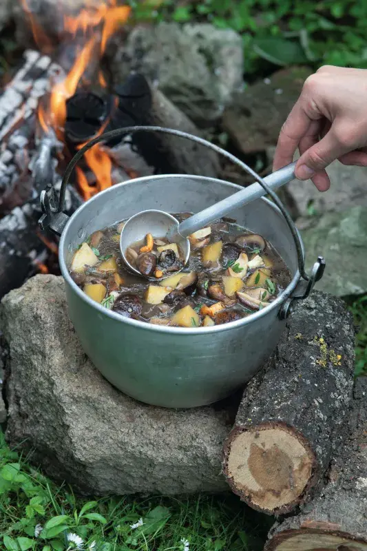 Kotlíkový houbový guláš