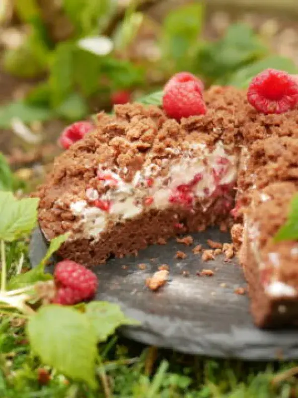 Krtkův dort Celiaxmoni