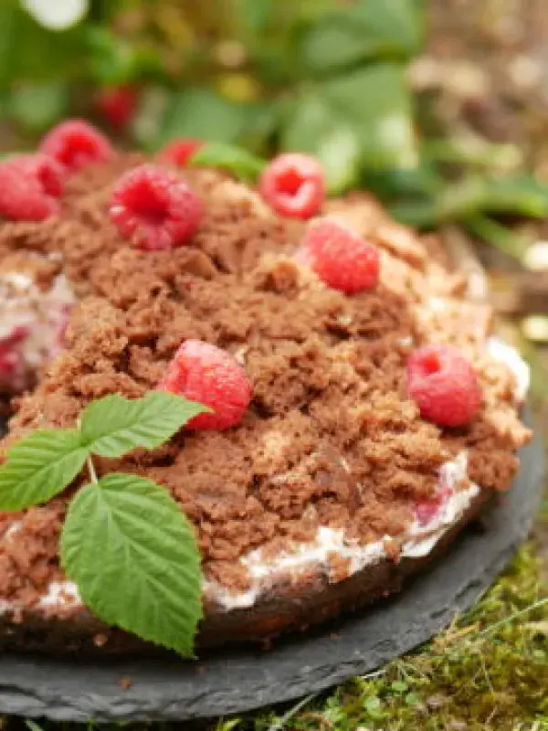 Krtkův dort Celiaxmoni