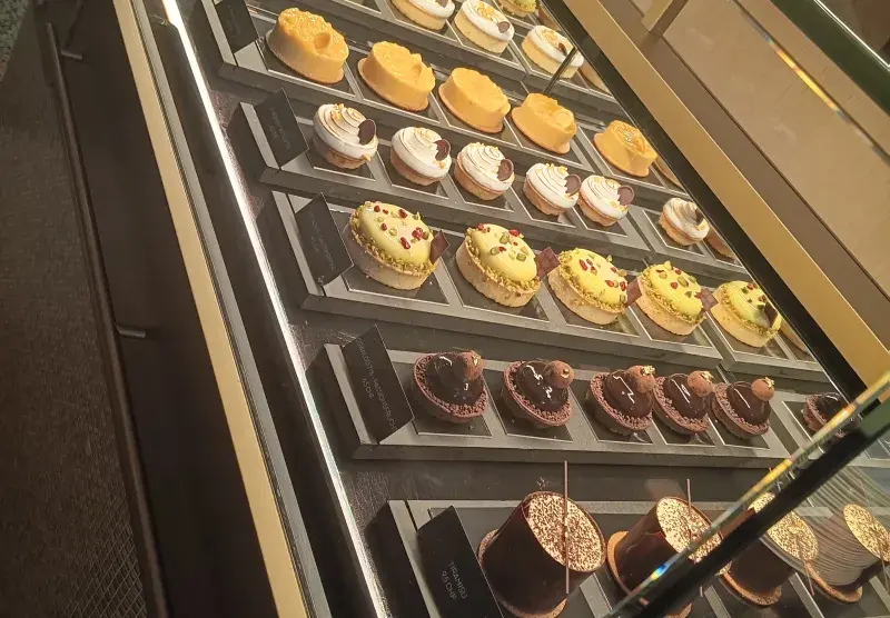 Obědová nabídka Kultur Casina v Bernu