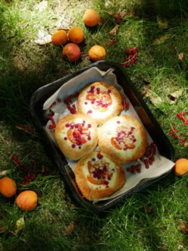 Kynuté koláče s tvarohem a ovocem