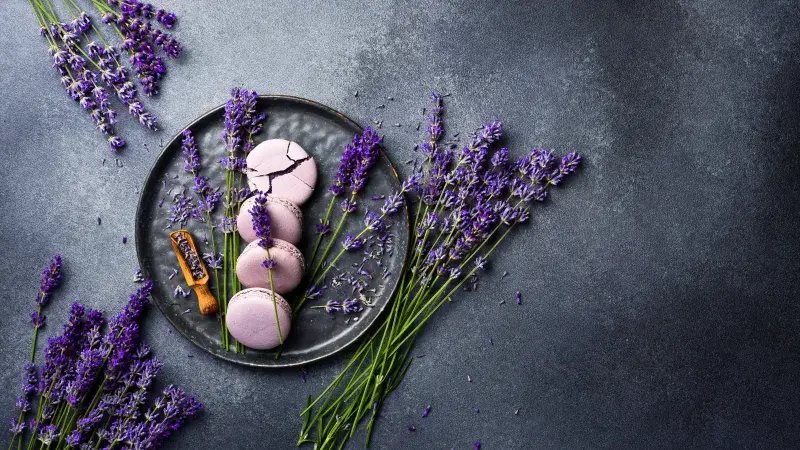 Levandulové makronky