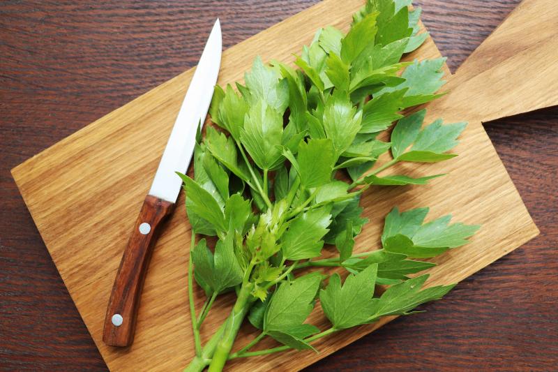 Libecek_listy_shutterstock_1983584081.jpg