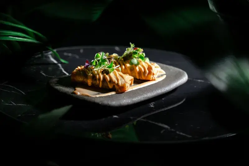 Mini Moroccan spring rolls