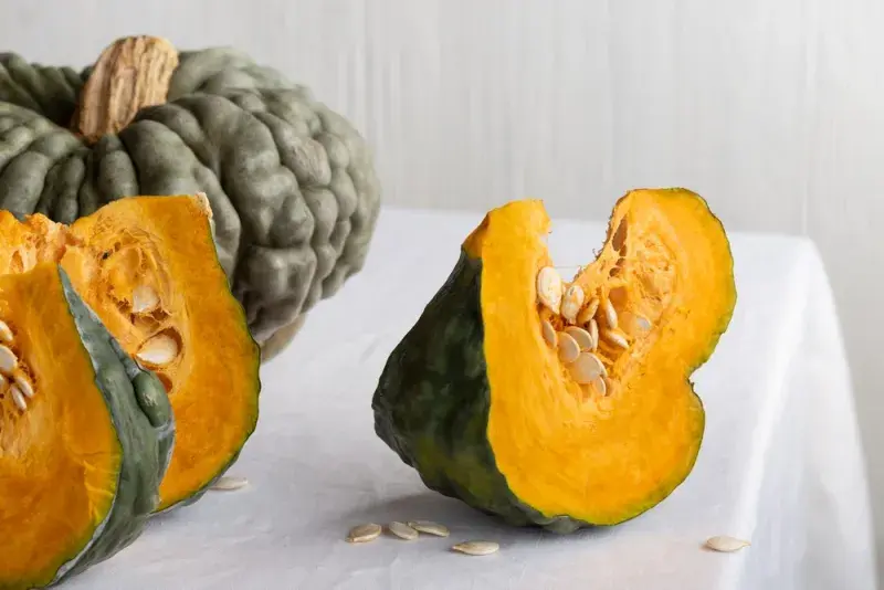 Dýně Marina di Chioggia