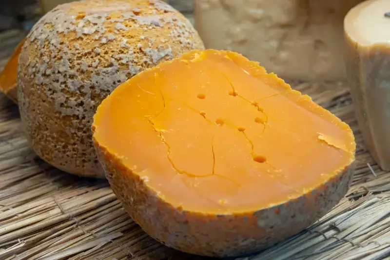 Mimolette_cheese_shutterstock_2515551705.jpeg