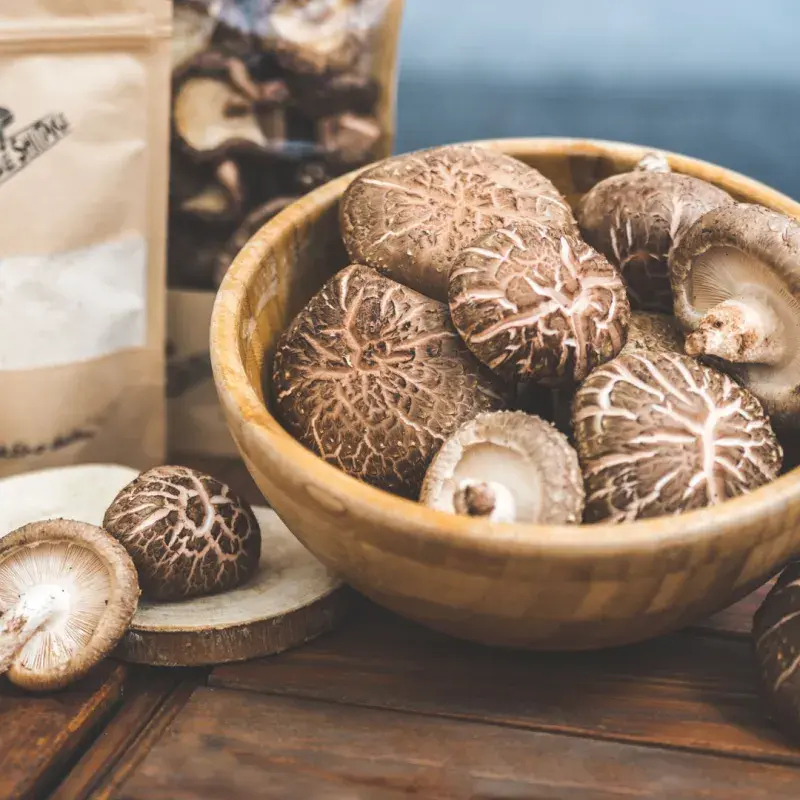 Čerstvé houby shiitake