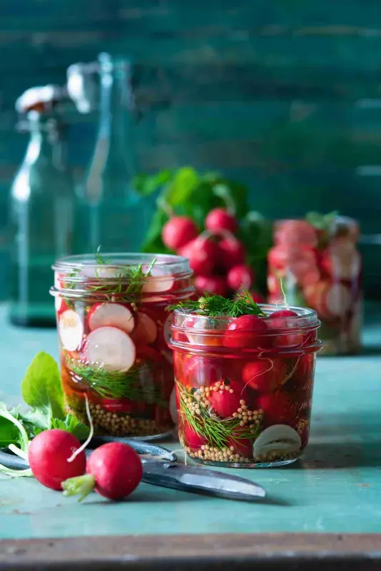 Nakládané ředkvičky s koprem