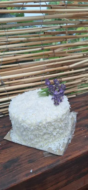 Želé dorty podle Nicol Růžičkové