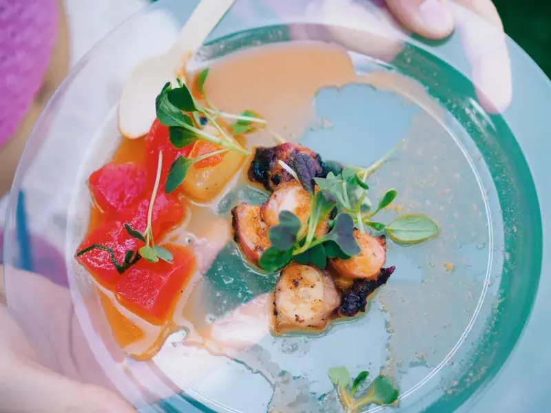 Chobotnice od Honzy Punčocháře