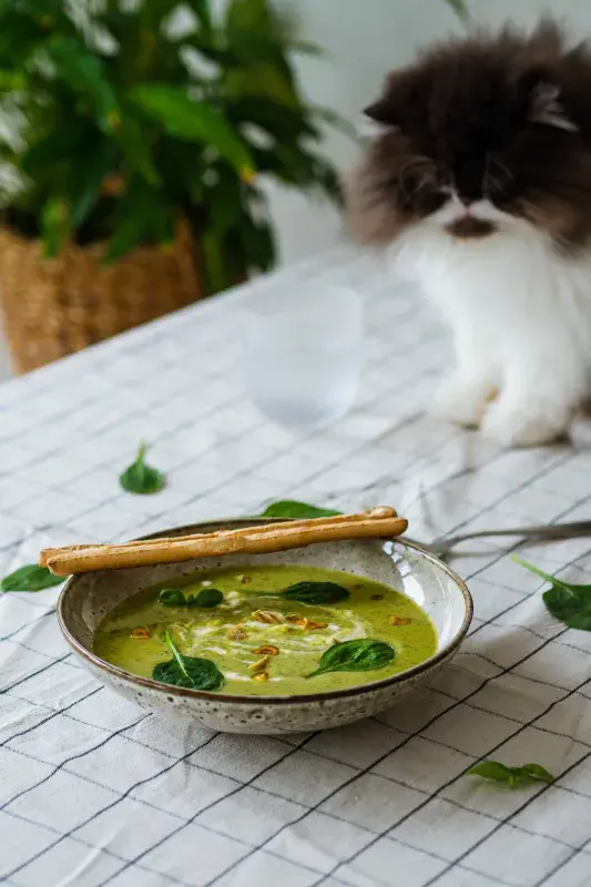 Svěží jarní hrachová polévka