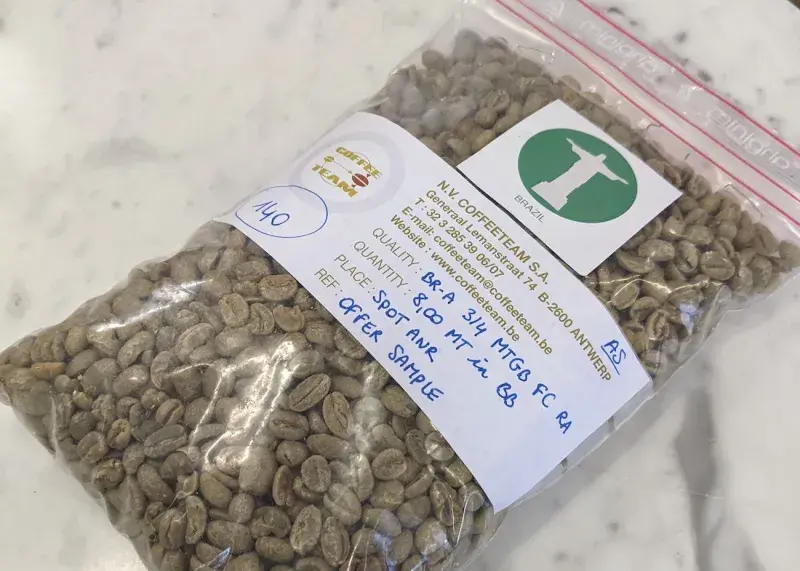 Vzorek nepražené surové kávy