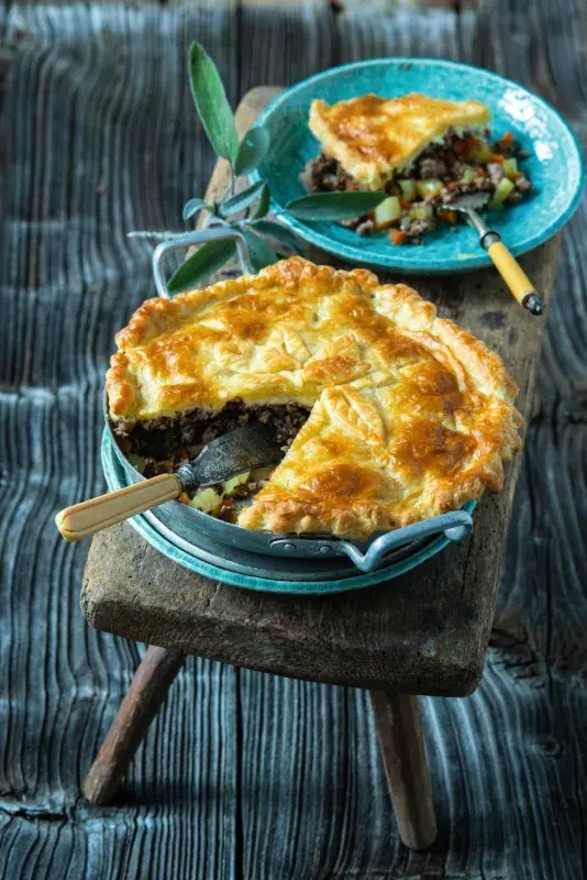 Páj s mletou zvěřinou